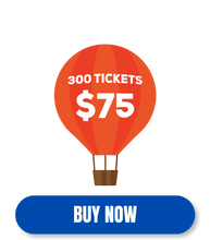 Load image into Gallery viewer, 300 for $75
