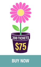 Load image into Gallery viewer, 300 for $75
