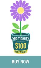 Load image into Gallery viewer, 500 for $100
