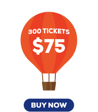 Load image into Gallery viewer, 300 for $75

